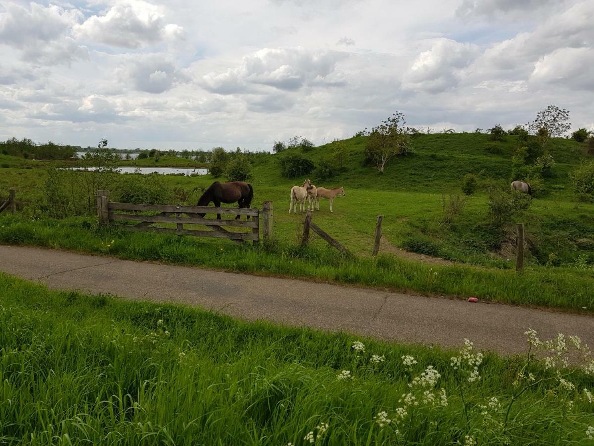 Het Gildehuis met sauna en jacuzzi Stevensweert Buitenkant foto